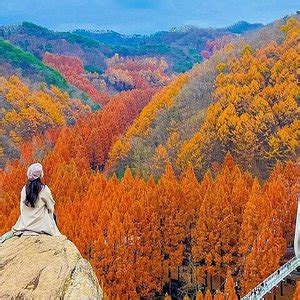 군산 이성당, 그 맛과 추억의 교차로